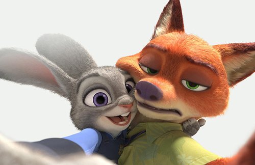 Amazon.co.jp: Poster/Steel Photo A4 Pattern G Zootopia Glossy